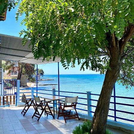 Manolis Studios Thassos Skála Kallirákhis Екстериор снимка