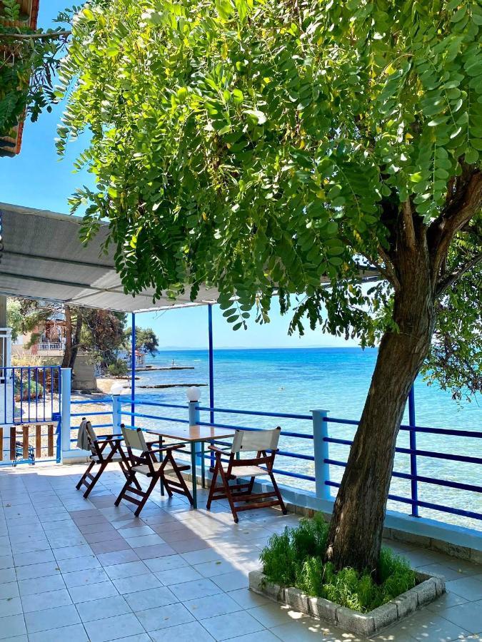 Manolis Studios Thassos Skála Kallirákhis Екстериор снимка